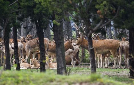 两男一女斗地主视频