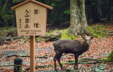 做运动的视频声音