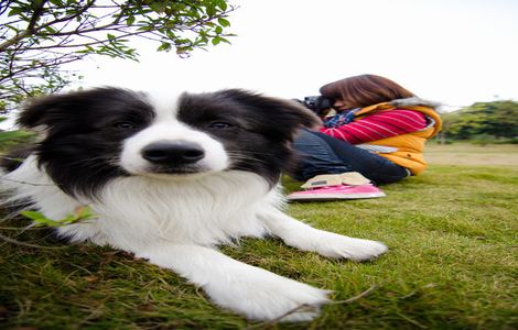 嘴笨的人怎么练口才