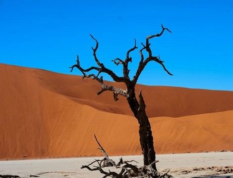 地下偶像sans全集免费观看