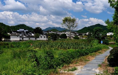 堵住了回来检查