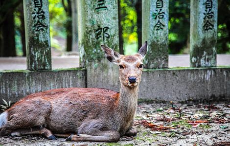 天堂2官方入口怎么进