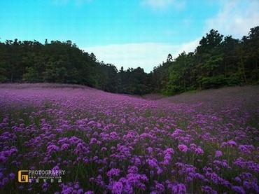 对着镜子换个姿势