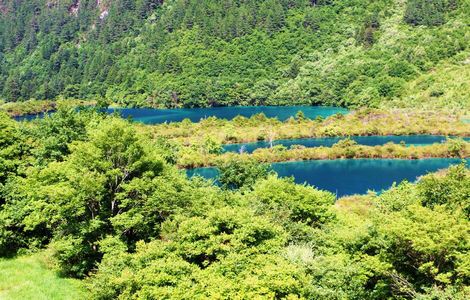 小四郎地址在哪里