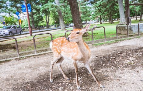 情侣晚上斗地主视频